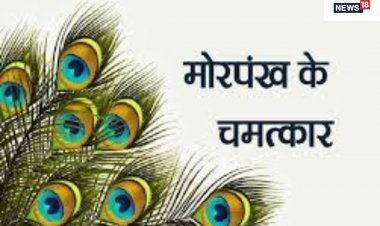 घर में मोरपंख रखने से दूर होगा वास्तु दोष! बीमारियों के साथ आर्थिक तंगी भी...