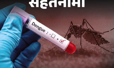 सेहतनामा- एक साल में दोगुने से ज्यादा हुए डेंगू केस:भारत में गर्मी बढ़ने से बढ़ रहा खतरा, डॉक्टर से जानें हर जरूरी सवाल का जवाब